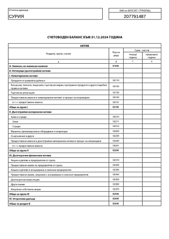 Annual financial report 2024