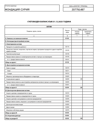 Annual financial report 2025
